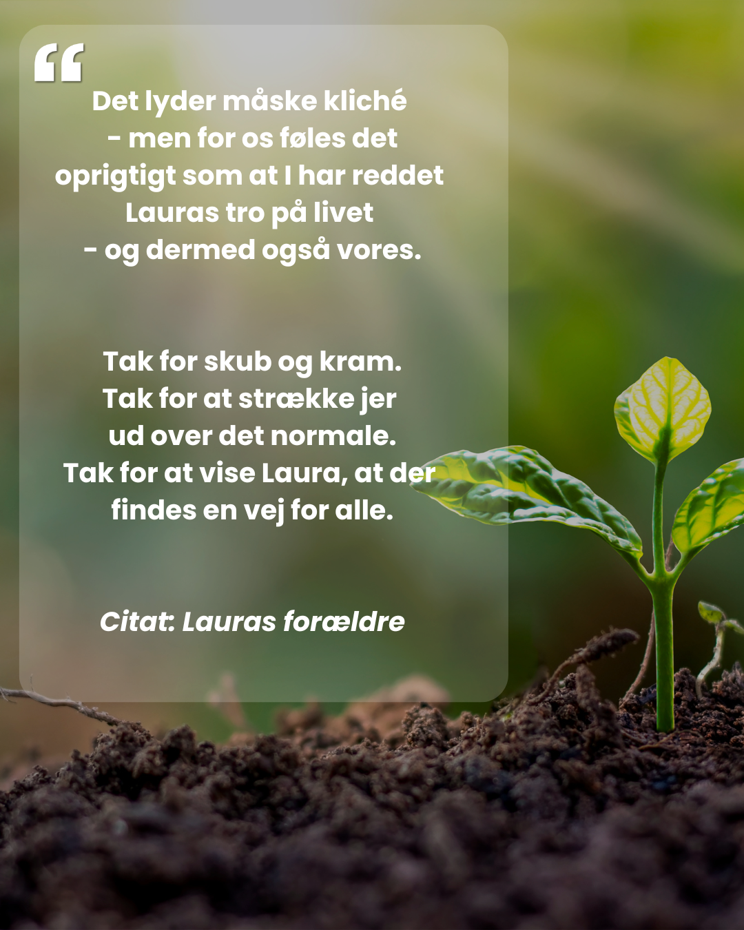 Citat